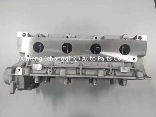 SQR481FA SQR481FD SQR481F SQR481H SQR481FC Κύλινδρο 481F-CA8016A017 για CHERY, EASTAR 2.4L/ TIGGO 2.0L